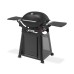 Weber Q3200N+ plynový gril